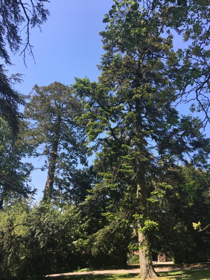 Le Chateau Des Tourelles En Vendee La Gaubretiere Luaran gambar
